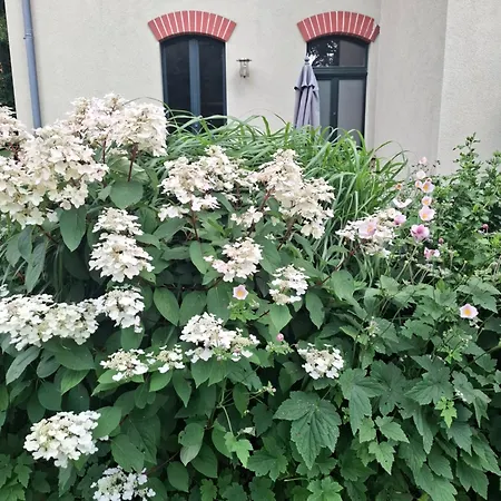 Apartment Am Buergerteich 2 Bischofswerda